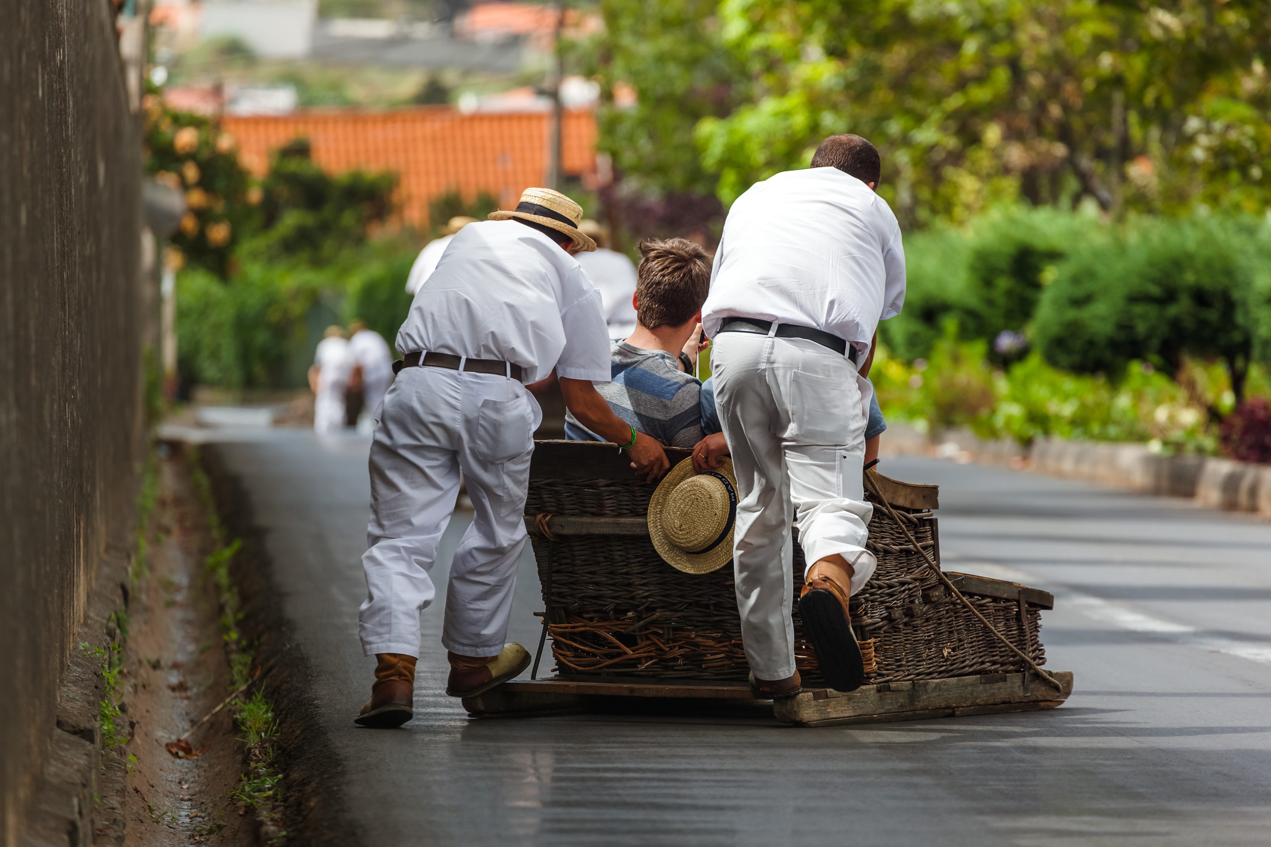 AdobeStock_152707922-Madeira-Korbschlitten