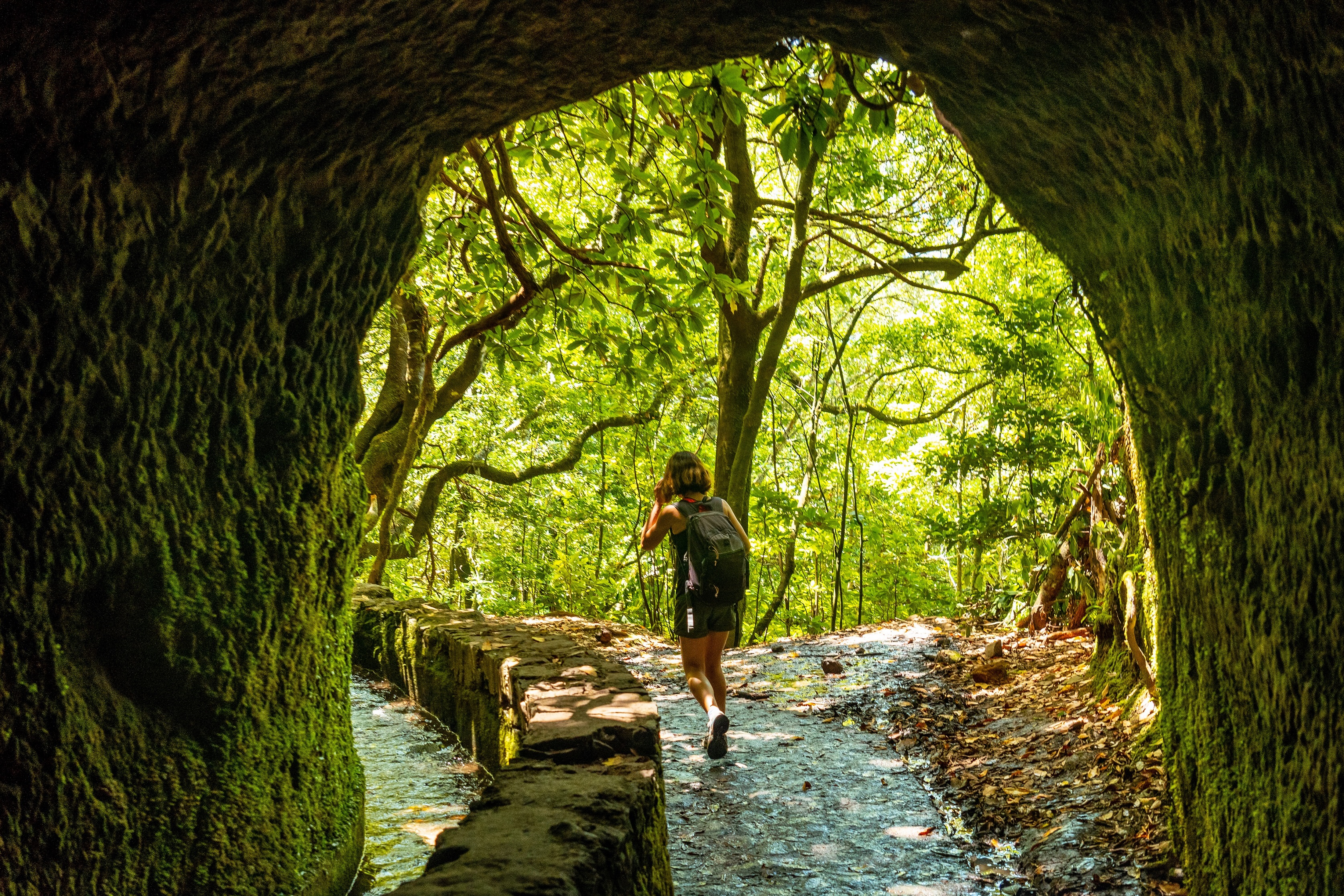 AdobeStock_526951083-Madeira-Levada.klein