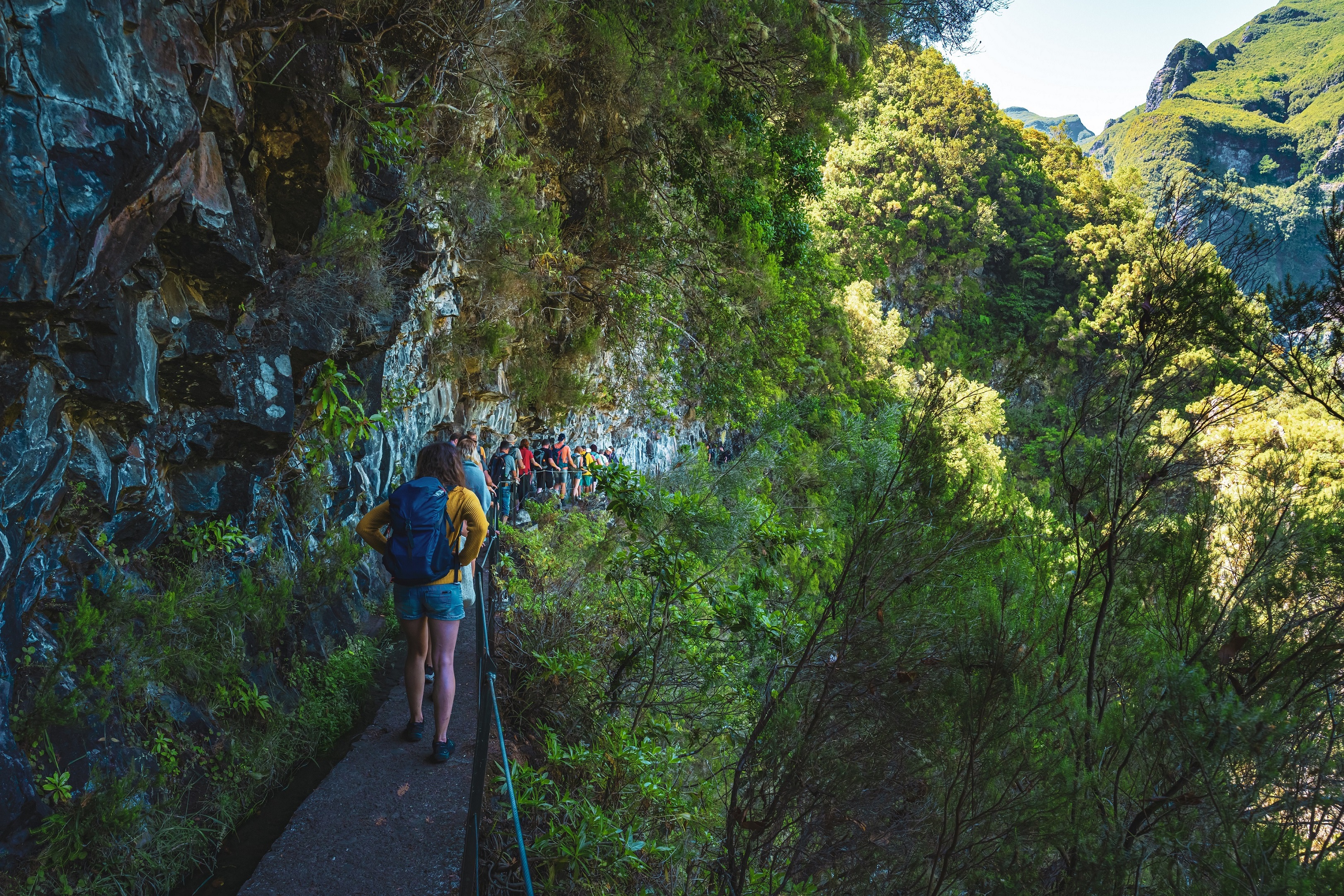 AdobeStock_613671416-Madeira-Levadawanderung