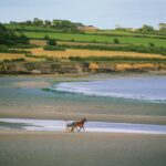 Strand, Timoleague Nähe Kinsale, Cork County, Strand, Pferd, Ebbe, Jockey,