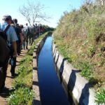 Levada