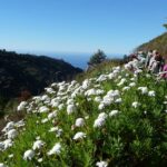 Madeira LevadaWanderung