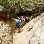 Gruppe, Wandern, Felsen, Urwald, Park, Felsen
