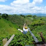 Mann, Ziplining, Abenteuer, Aktiv, Urwald,