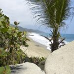 Strand, Küste, Sand, Felsen, Palme