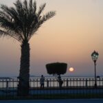 Abu Dhabi 2