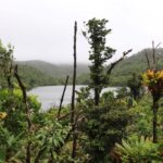 IMG 7167