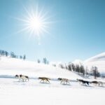 0J5sA6722 ©Fjord Norway Large