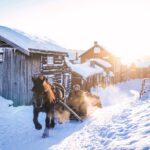 Horse And Sleigh Ride In Røros Marius Rua Buckethaus Explore Trøndelag ©Visitnorway.com Large