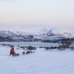A Team Of Husky Sled Dogs Running On A Deserted Snowy Road On The Island Of Kvaløya Overlooking The Tromso Fjord, Norway